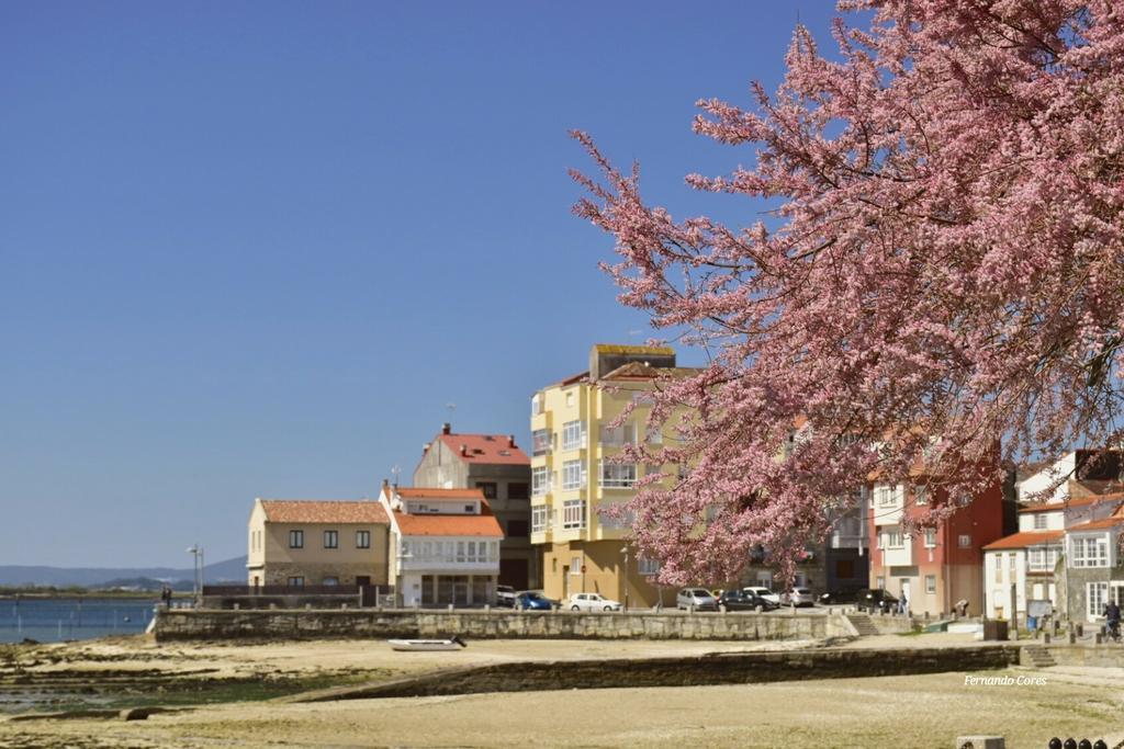 A Esmorga-Posada Del Mar Vilagarcia de Arousa Dış mekan fotoğraf